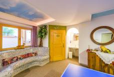 Hotel Schwarzenbach - Altri locali igienici