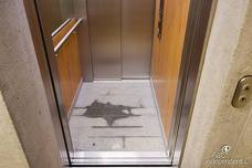 Cascade Campo Tures - Ascensore Sauna