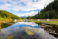 Hotel Schwarzenbach - Laghetto balneabile e giardino