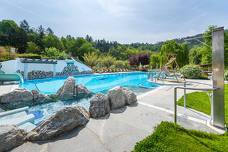 Gartenhotel Moser am See - Piscina esterna