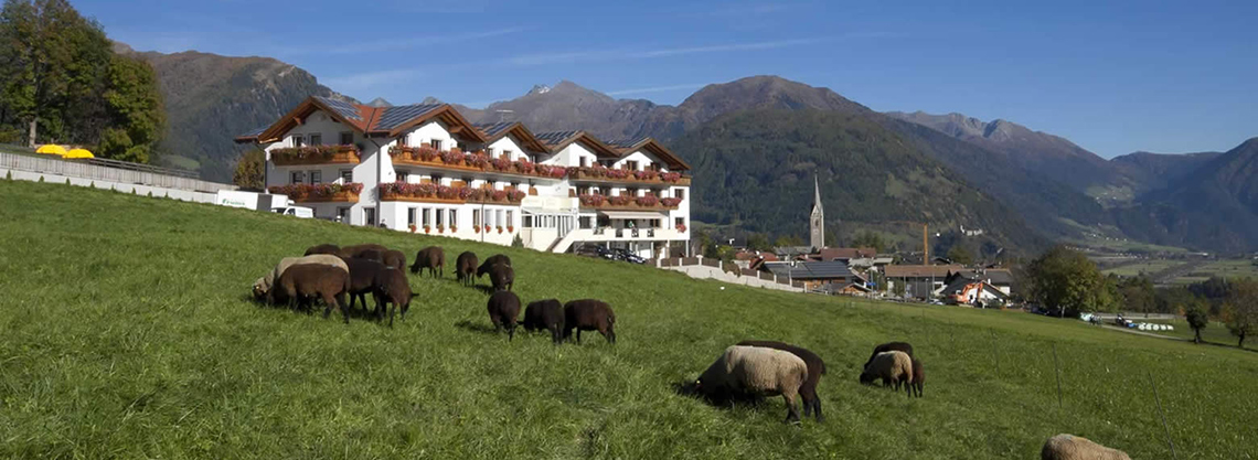 Hotel Lahnerhof
