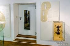 Naturparkhaus Trudner Horn - Treppen und Stufen