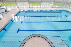 Alpinpool - Piscina