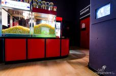 Odeon Kino Bruneck - Barrierefreie Toilette im Erdgeschoss