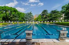 Bozner Freibad Lido: Schwimmbecken