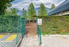 Rockarena - Rampa