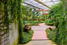 Raffeiner Orchideenwelt - Rampe
