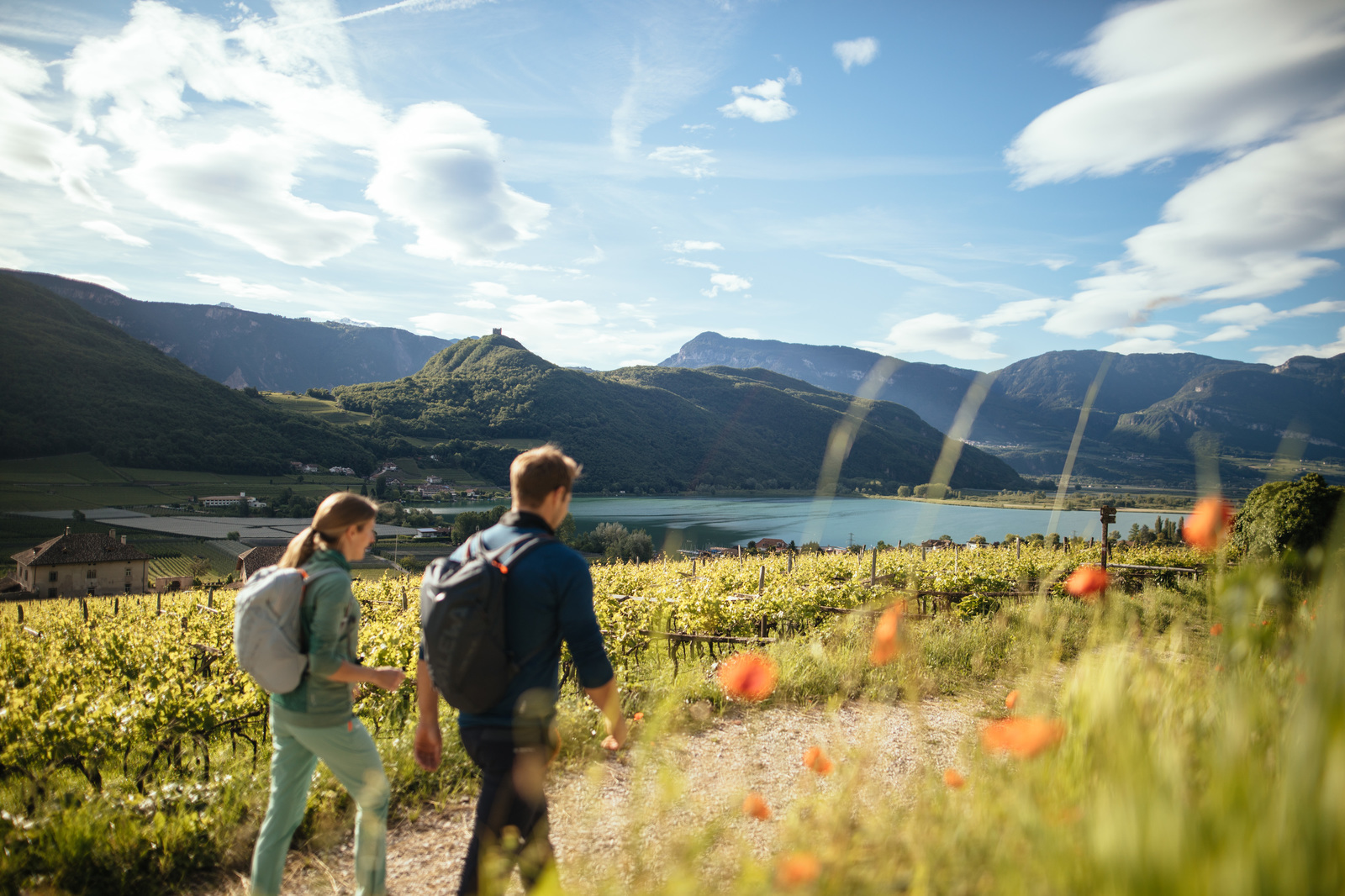 Wanderweg zwischen Weinbergen