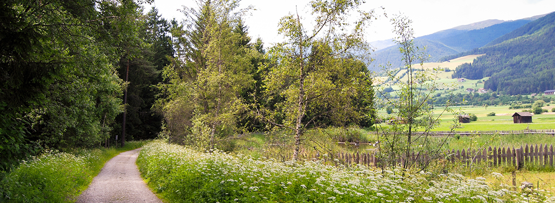 Waldwanderung von Pfalzen zum Issinger Weiher