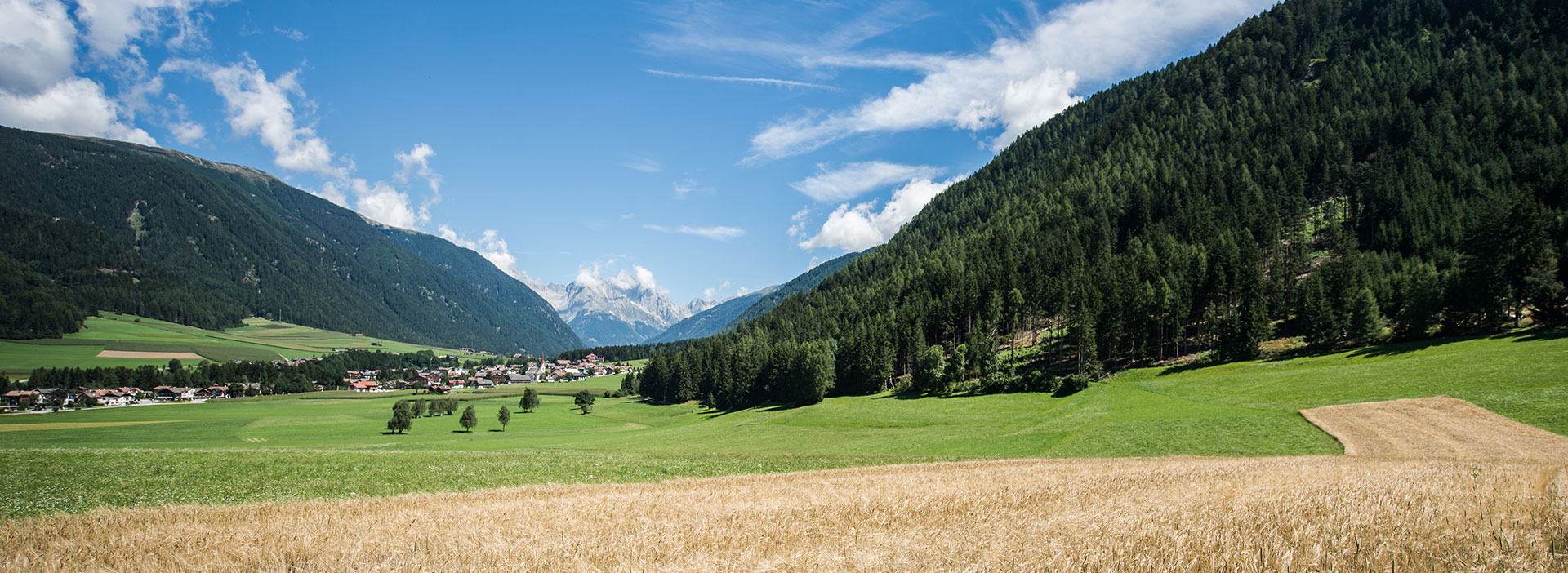 Wanderung zum Biotop Rasen-Antholz